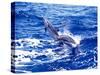 Leaping Clymene Dolphins, Gulf of Mexico, Atlantic Ocean-Todd Pusser-Stretched Canvas