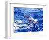 Leaping Clymene Dolphins, Gulf of Mexico, Atlantic Ocean-Todd Pusser-Framed Premium Photographic Print