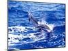 Leaping Clymene Dolphins, Gulf of Mexico, Atlantic Ocean-Todd Pusser-Mounted Premium Photographic Print