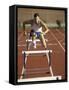 Leaping Over Hurdles-null-Framed Stretched Canvas