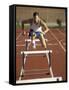 Leaping Over Hurdles-null-Framed Stretched Canvas