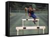 Leaping Over Hurdles-null-Framed Stretched Canvas