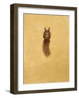 Leaping Red Squirrel-Tim Hayward-Framed Giclee Print