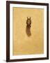 Leaping Red Squirrel-Tim Hayward-Framed Giclee Print