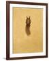 Leaping Red Squirrel-Tim Hayward-Framed Giclee Print