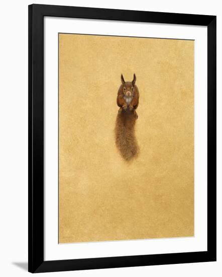 Leaping Red Squirrel-Tim Hayward-Framed Giclee Print