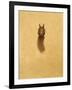 Leaping Red Squirrel-Tim Hayward-Framed Giclee Print