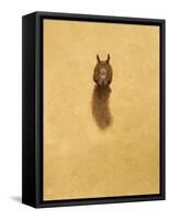 Leaping Red Squirrel-Tim Hayward-Framed Stretched Canvas