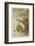 Leaping Salmon-P. J. Smit-Framed Photographic Print