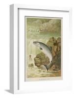 Leaping Salmon-P. J. Smit-Framed Photographic Print