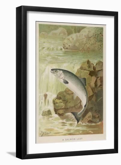 Leaping Salmon-P. J. Smit-Framed Photographic Print