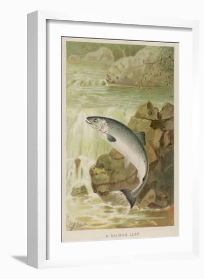 Leaping Salmon-P. J. Smit-Framed Photographic Print