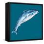 Leaping Salmon-Alice Straker-Framed Stretched Canvas