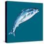Leaping Salmon-Alice Straker-Stretched Canvas