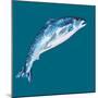 Leaping Salmon-Alice Straker-Mounted Photographic Print