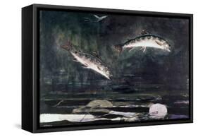 Leaping Trout-Winslow Homer-Framed Stretched Canvas