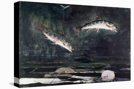 Leaping Trout-Winslow Homer-Stretched Canvas