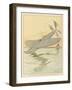 Learn from Flying Fish-Joaquin Xaudaro-Framed Art Print