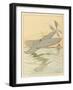 Learn from Flying Fish-Joaquin Xaudaro-Framed Art Print