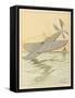 Learn from Flying Fish-Joaquin Xaudaro-Framed Stretched Canvas