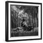 Learn Spirit-Antonyus Bunjamin (Abe)-Framed Photographic Print