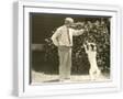 White Frame