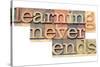 Learning Never Ends-PixelsAway-Stretched Canvas