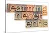 Learning Never Ends-PixelsAway-Stretched Canvas