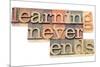 Learning Never Ends-PixelsAway-Mounted Art Print