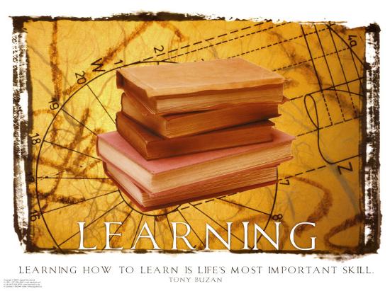 Learning-null-Lamina Framed Art Print