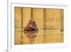 Learning-Hedianto Hs-Framed Photographic Print