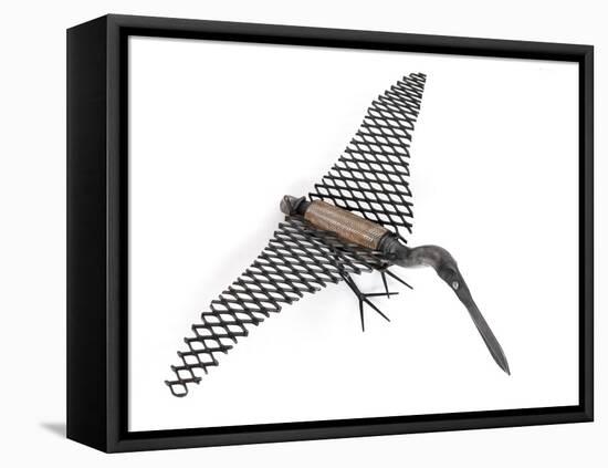 Least Bittern, 2006-Lawrie Simonson-Framed Stretched Canvas