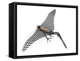 Least Bittern, 2006-Lawrie Simonson-Framed Stretched Canvas