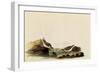 Least Sandpipers-John James Audubon-Framed Giclee Print