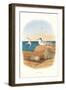 Least Tern and Eggs-null-Framed Art Print