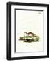 Least Weasel-null-Framed Premium Giclee Print