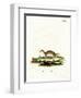 Least Weasel-null-Framed Premium Giclee Print