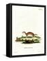 Least Weasel-null-Framed Stretched Canvas
