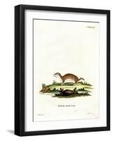 Least Weasel-null-Framed Giclee Print