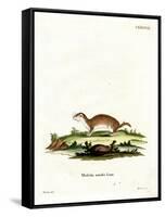Least Weasel-null-Framed Stretched Canvas
