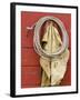 Leather Chaps and Rope, Ponderosa Ranch, Seneca, Oregon, USA-Wendy Kaveney-Framed Photographic Print