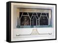 Canvas Black