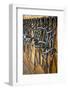 Leather Horse Bridles and Bits Hanging on Wall of Stable-elenathewise-Framed Photographic Print