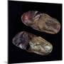 Leather Sandals from Egypt, Early Christian Period, 3rd Century-null-Mounted Giclee Print