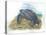 Leatherback Sea Turtle Dermochelys Coriacea Laying Eggs-null-Stretched Canvas