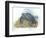 Leatherback Sea Turtle Dermochelys Coriacea Laying Eggs-null-Framed Premium Giclee Print