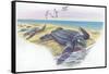 Leatherback Sea Turtle Dermochelys Coriacea-null-Framed Stretched Canvas
