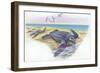 Leatherback Sea Turtle Dermochelys Coriacea-null-Framed Giclee Print