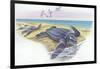 Leatherback Sea Turtle Dermochelys Coriacea-null-Framed Giclee Print