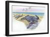 Leatherback Sea Turtle Dermochelys Coriacea-null-Framed Premium Giclee Print